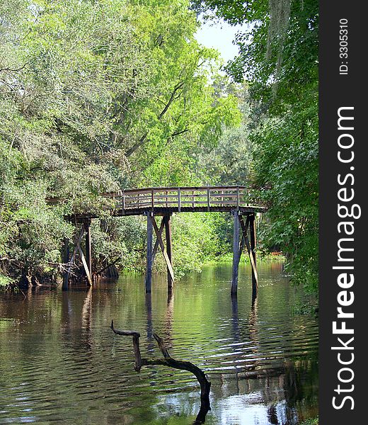 A`Walking bridge in Hillsborough River State Park, Florida