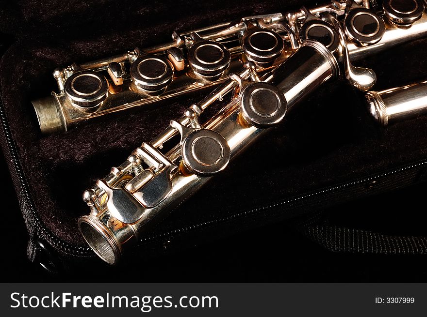 Flute in case