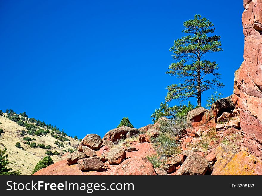 Rocky hills, a pine tree and a deep blue sky