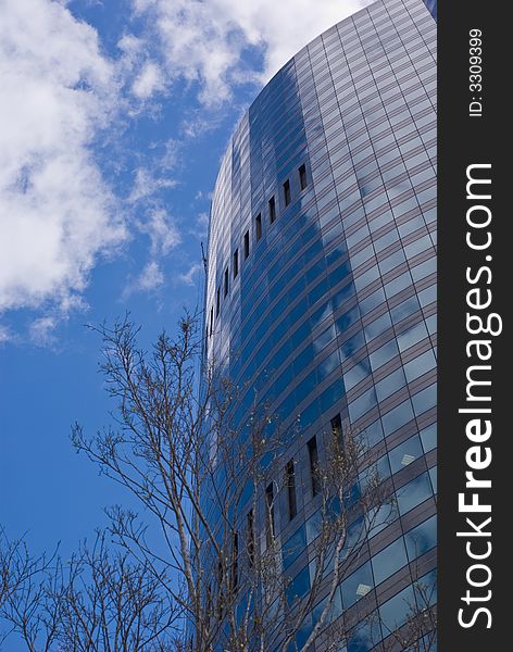 Modern Glass Skyscraper And Tree