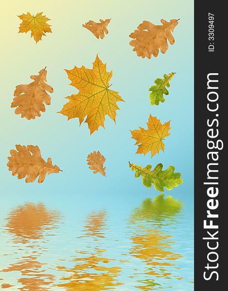 Multi-coloured autumn leaves on a blue background and their reflection in water.