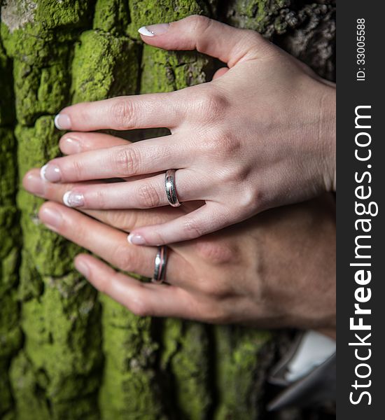 Wedding rings on the hands of the newlyweds