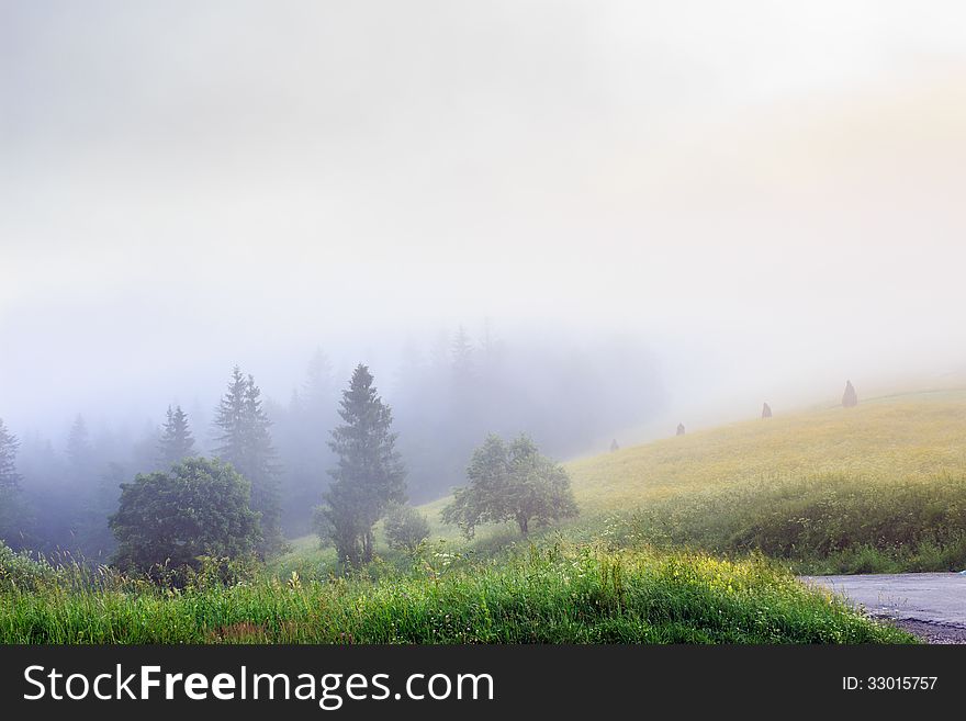 Road disappearing into the forest in fog. Road disappearing into the forest in fog