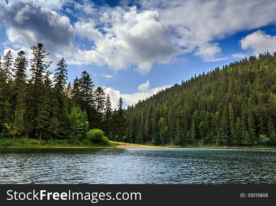 Coniferous Forest On The Shore Of A Lake In Mountains