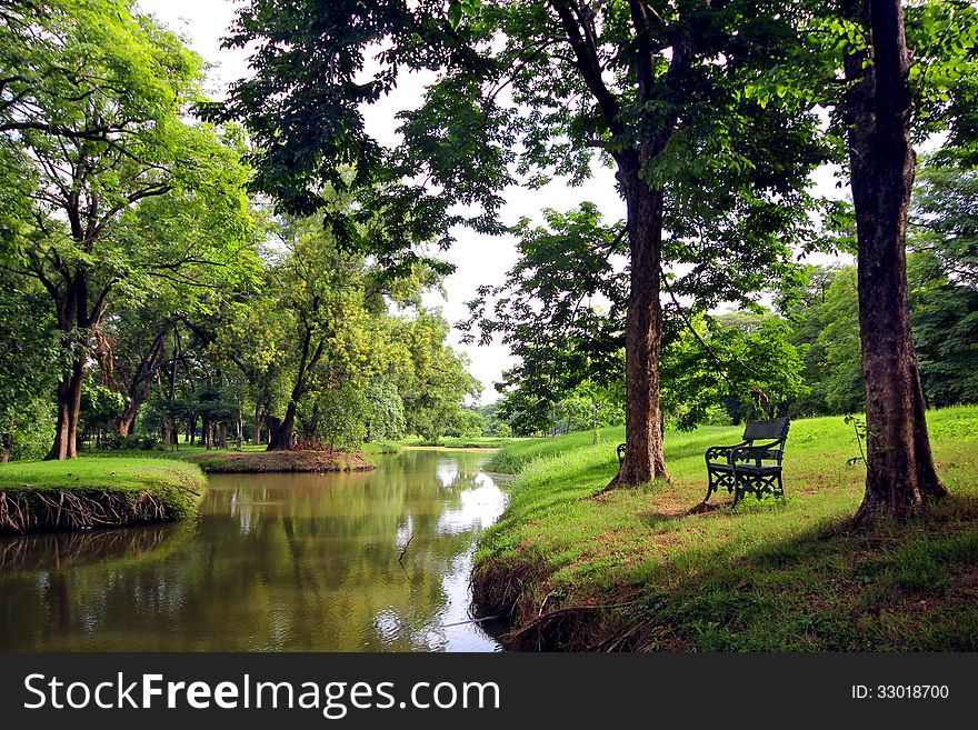 A bench in the peaceful park. A bench in the peaceful park