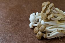 Free Brown Beech Mushroom And  White Crab Mushroom Royalty Free Stock Image - 33022006
