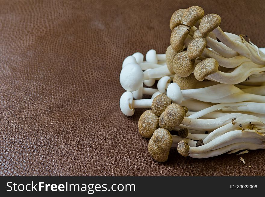 Group of Brown Beech mushroom and White Crab mushroom on brown background. Group of Brown Beech mushroom and White Crab mushroom on brown background