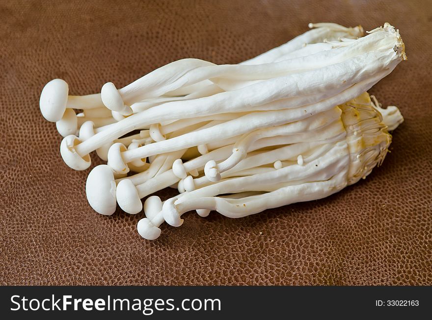 Group of White crab mushroom on brown background