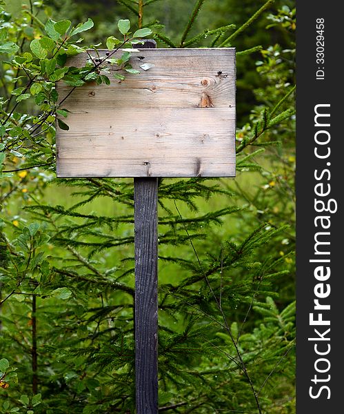 A Grungy Overgrown Wooden Sign In The Wilderness For Your Text