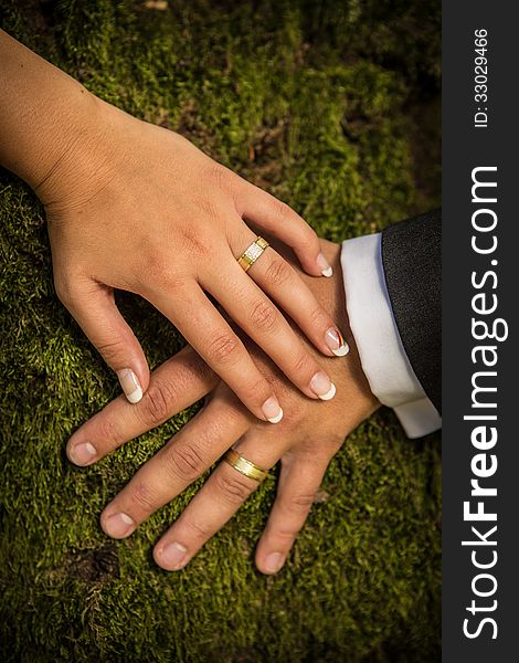 Newlyweds Hands With Rings