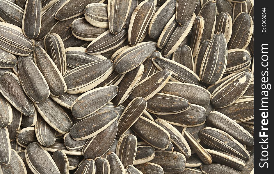 Pile of sunflower seeds texture background