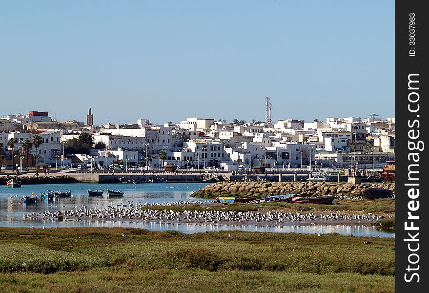 Seagulls on the Bouregreg river near Rabat.