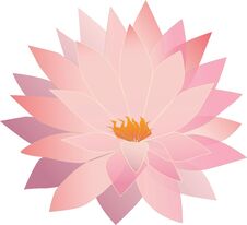 Translucent Lotus Flower Stock Photo Translucent Lotus Flower Stock Photo