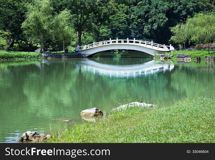 Green trees,grass,lake and a stone arch bridge in Chinese garden. Green trees,grass,lake and a stone arch bridge in Chinese garden