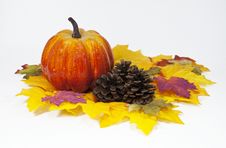 Pumpkin And Pine Cones Royalty Free Stock Images Pumpkin And Pine Cones Royalty Free Stock Images
