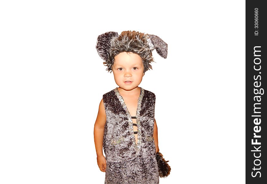Boy at a party dressed as a wolf, new year, birthday. Boy at a party dressed as a wolf, new year, birthday