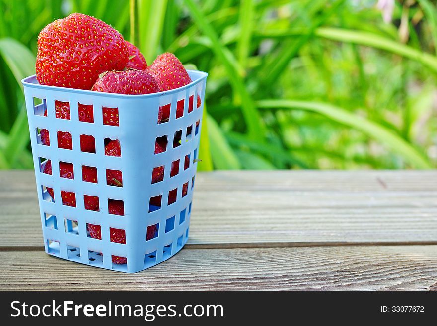 Strawberries in blue plastic basket on the wooden plank and blurred background. Strawberries in blue plastic basket on the wooden plank and blurred background