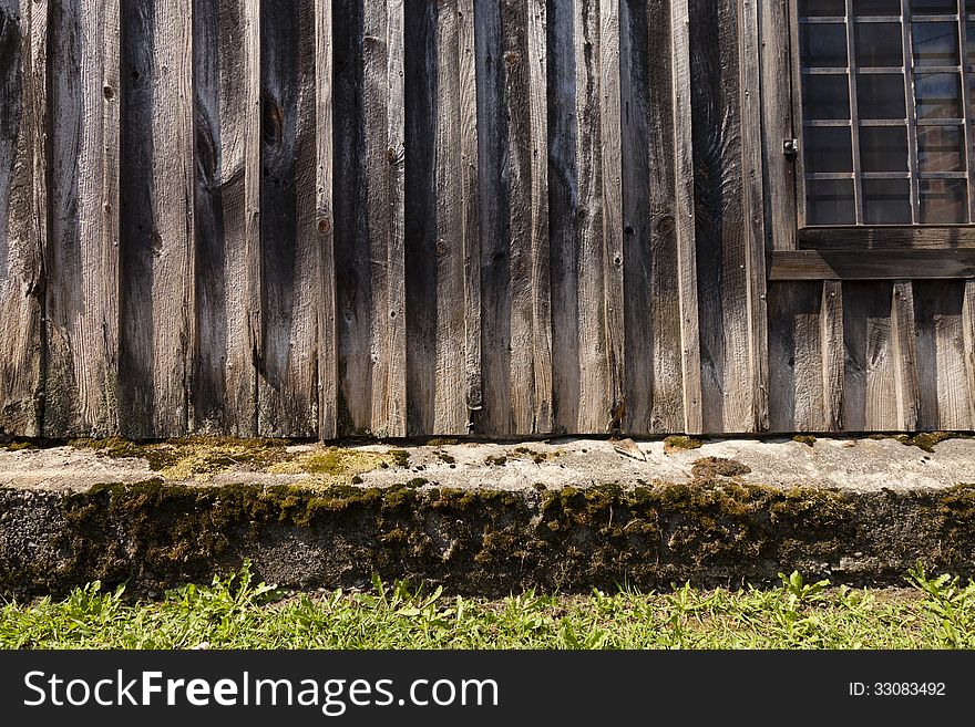 A background of old wood and moss. A background of old wood and moss.