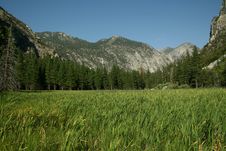 Mountain Meadow Stock Photos Mountain Meadow Stock Photos