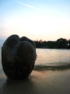 Coconut Sunset Stock Image Coconut Sunset Stock Image