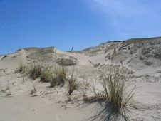 Dunes Royalty Free Stock Images
