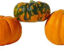 Pumpkins Isolated Royalty Free Stock Photography Pumpkins Isolated Royalty Free Stock Photography