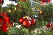 Christmas Tree Decorations Royalty Free Stock Photography Christmas Tree Decorations Royalty Free Stock Photography