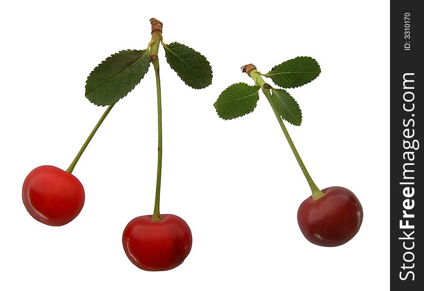Red cherry isolated on white background. Red cherry isolated on white background