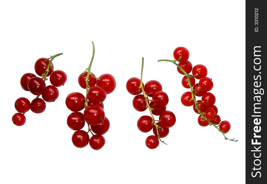 Fresh red currant isolated on a white background. Fresh red currant isolated on a white background