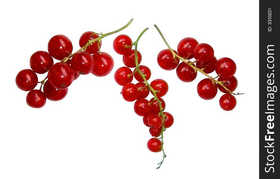 Fresh red currant isolated on a white background. Fresh red currant isolated on a white background