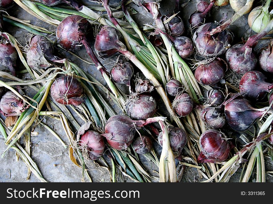 Fresh red onion as natural background