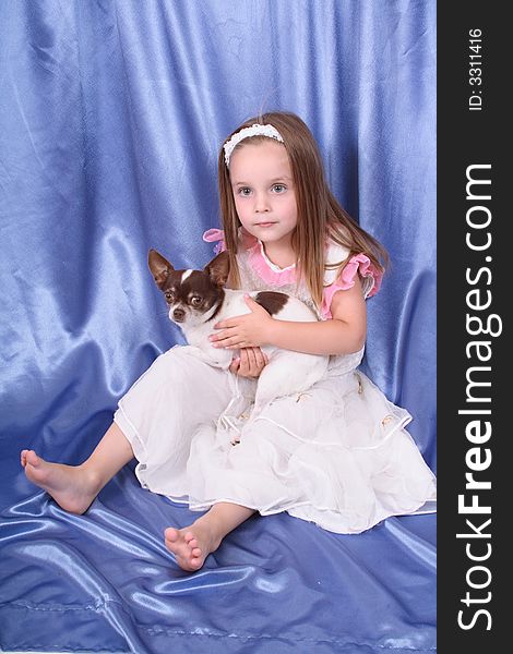 Young girl on the blue background with chihuahua. Young girl on the blue background with chihuahua