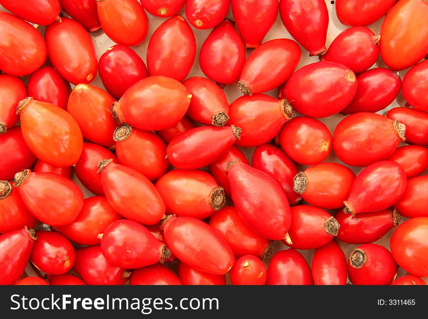 Rose hips background. Vibrant red colour of autumn fruit. Rose hips background. Vibrant red colour of autumn fruit.