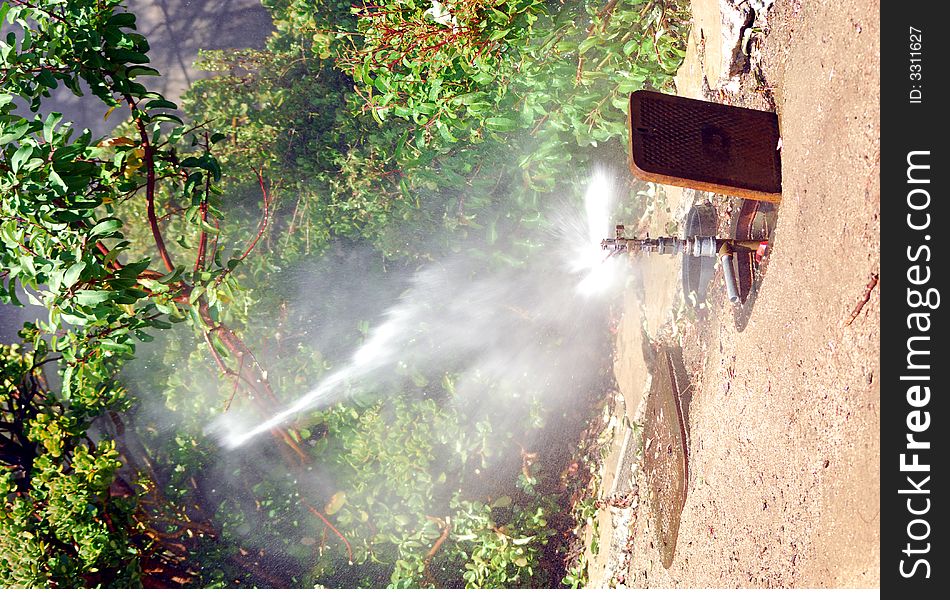 Sprinkler head spraying garden with intense force