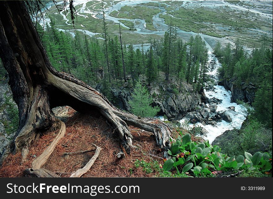 Mountain river going down in the forest