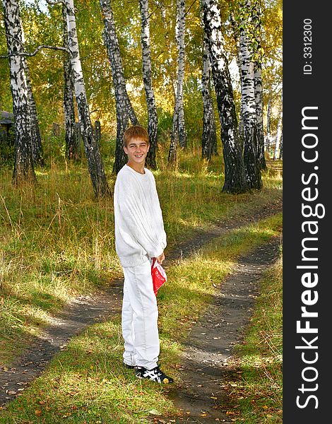 Boy in autumn forest stand on the road