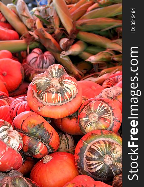 Pumpkins and corn in a pile waiting to be sold. Pumpkins and corn in a pile waiting to be sold