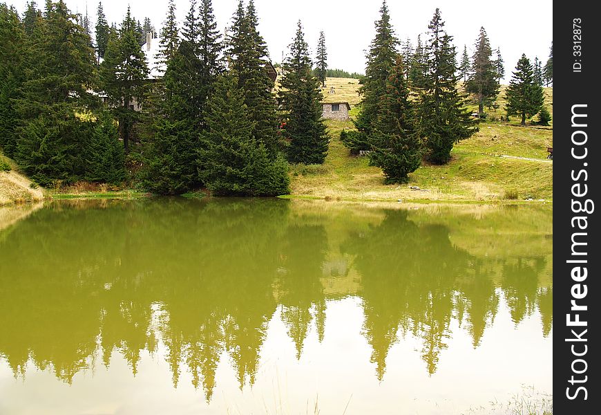 Mountain trees flected on lake water in green color. Mountain trees flected on lake water in green color