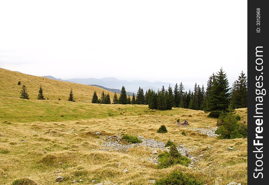 Mountain landscape with pine trees, rocks, grass, in autumn colors