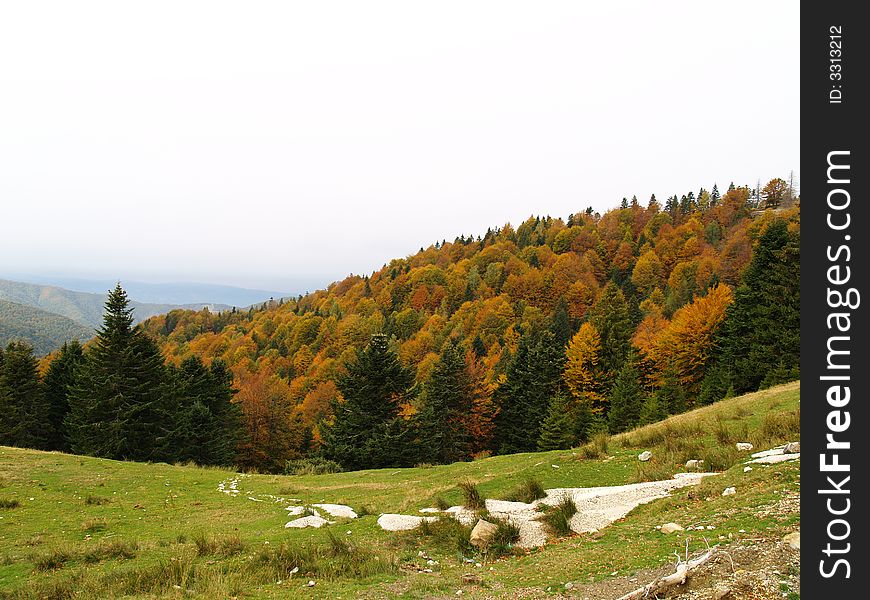 Autumn forest colors on mountain landscape. Autumn forest colors on mountain landscape