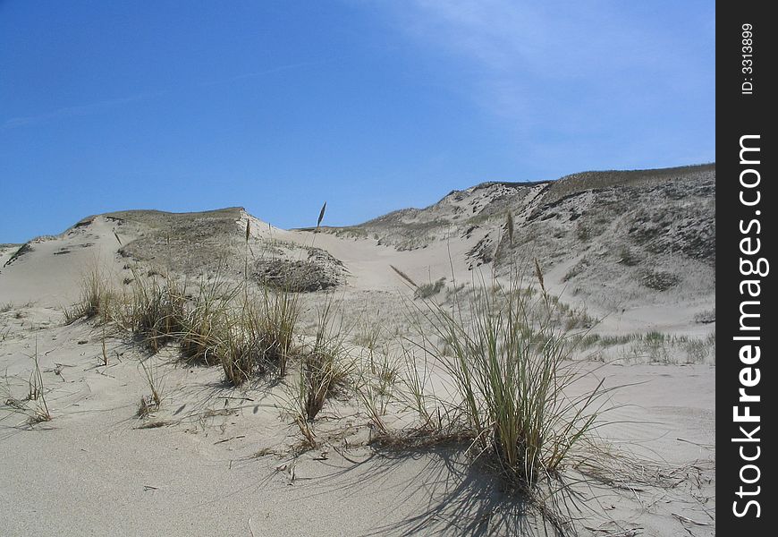 Dunes near Nida in Lithuania
