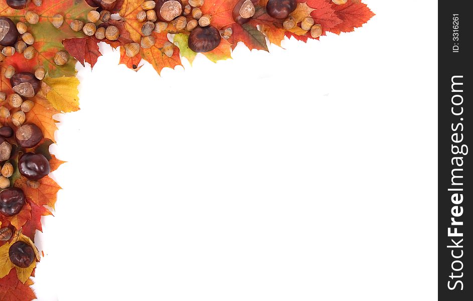 Autumn background from color (red yellow and green) leaves. Autumn background from color (red yellow and green) leaves