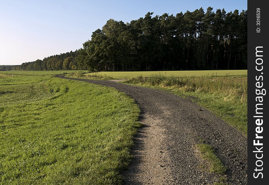 Path winding up to a forest through green meadows. Path winding up to a forest through green meadows