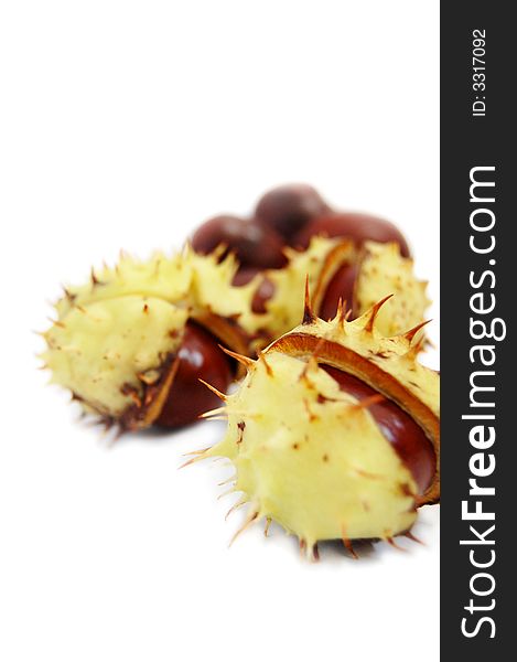 Chestnuts