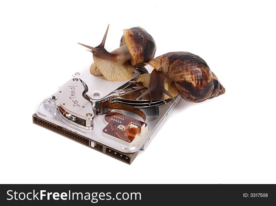 Snails And Data