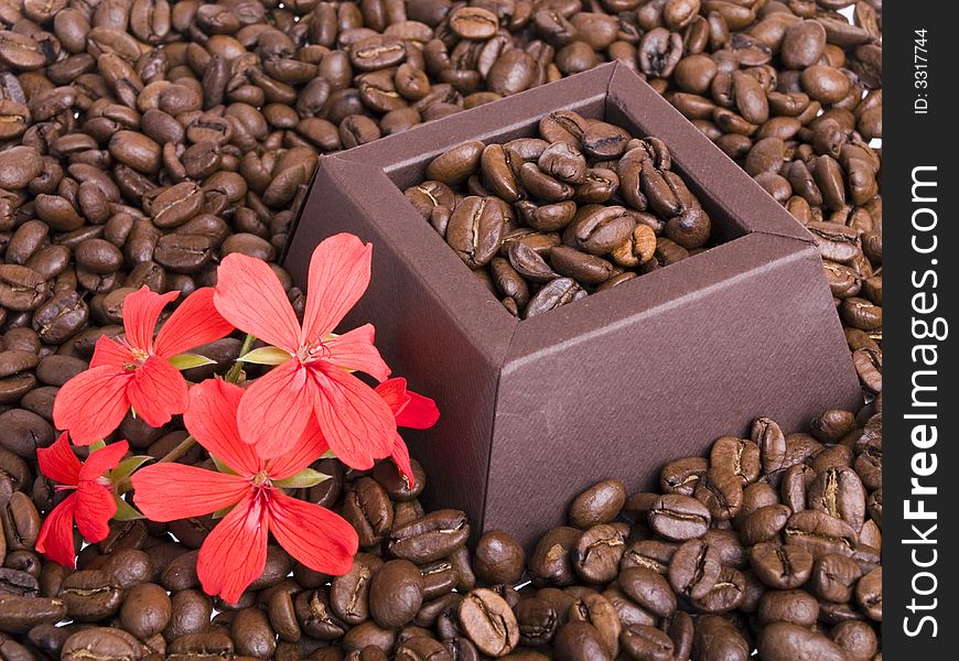 Coffee beans in the brown box and red flower