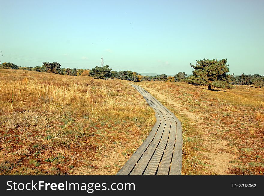 Picturesque autumn landscape of bright trees and bushes