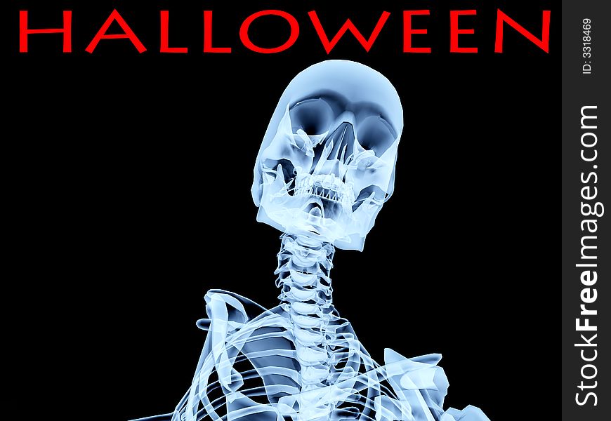 An image of an xray of a skeleton, a good Halloween or possible medical based image. An image of an xray of a skeleton, a good Halloween or possible medical based image.