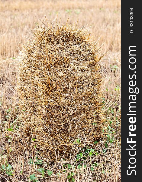 One Haystack In A Field