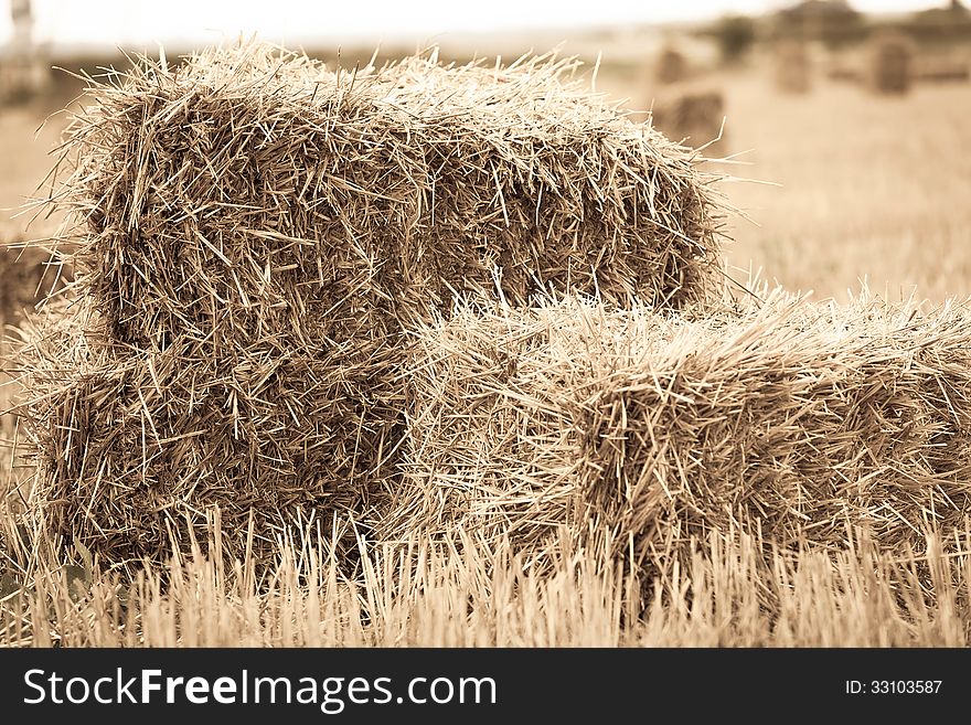 Haystack close-up lying on the summer day